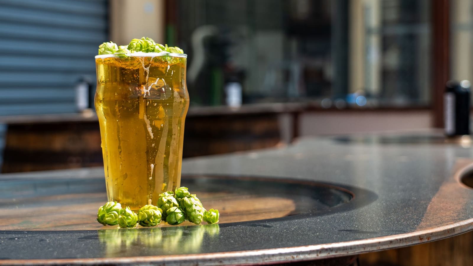 A pint of golden craft beer topped with fresh green hops on a brewery bar
