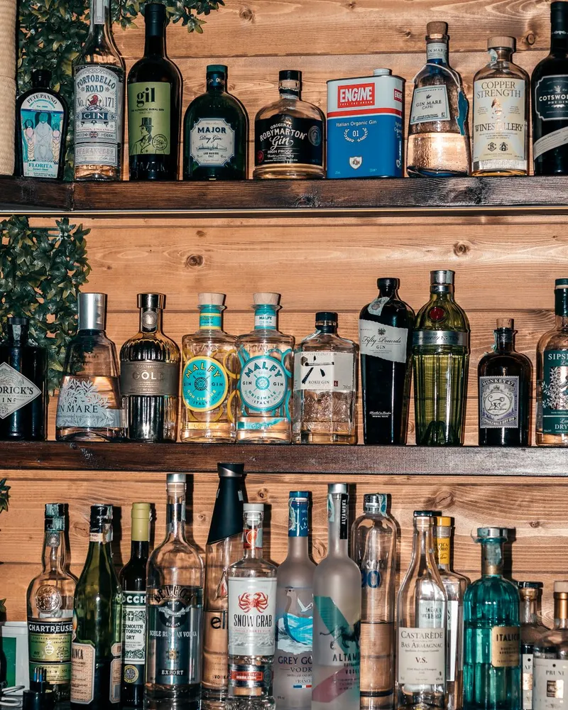 Bottles of gin and rum lined up on a softly lit bar shelf