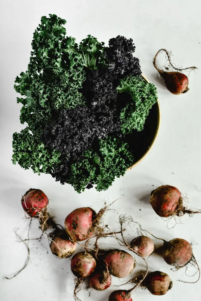 Dark green crinkled cavolo nero leaves