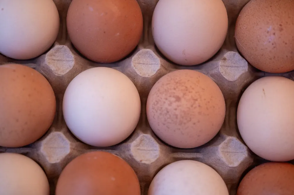 Brown free-range eggs in a cardboard egg box