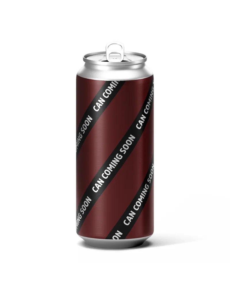 Sun Dodger by Steel Brew